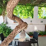 Kalipso B&B 3*